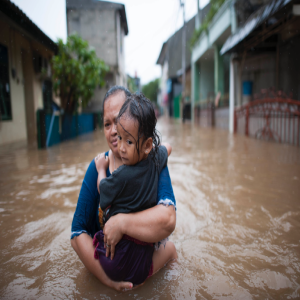 Flood